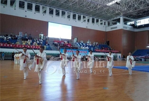 六安武术健儿在安徽省第九届传统武术比赛中获得佳绩