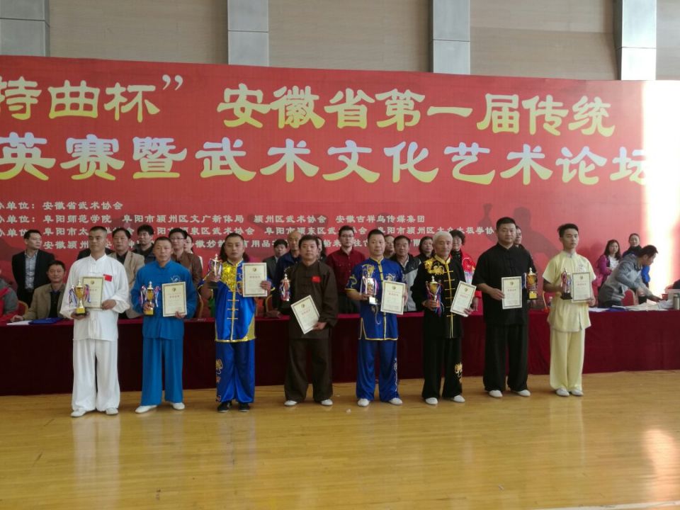 安徽省第一届传统武术精英榜