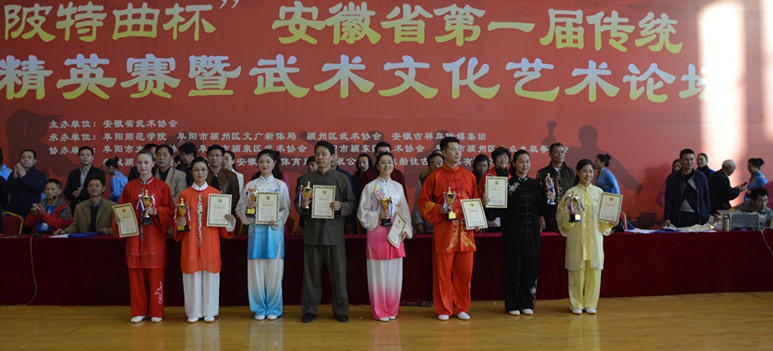 安徽省第一届传统武术比赛精英榜