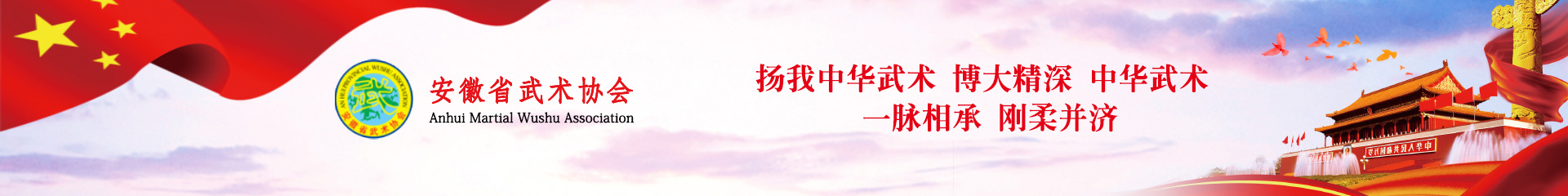 安徽省武术协会-传统武术-八极拳-太极拳-跆拳道-拳击